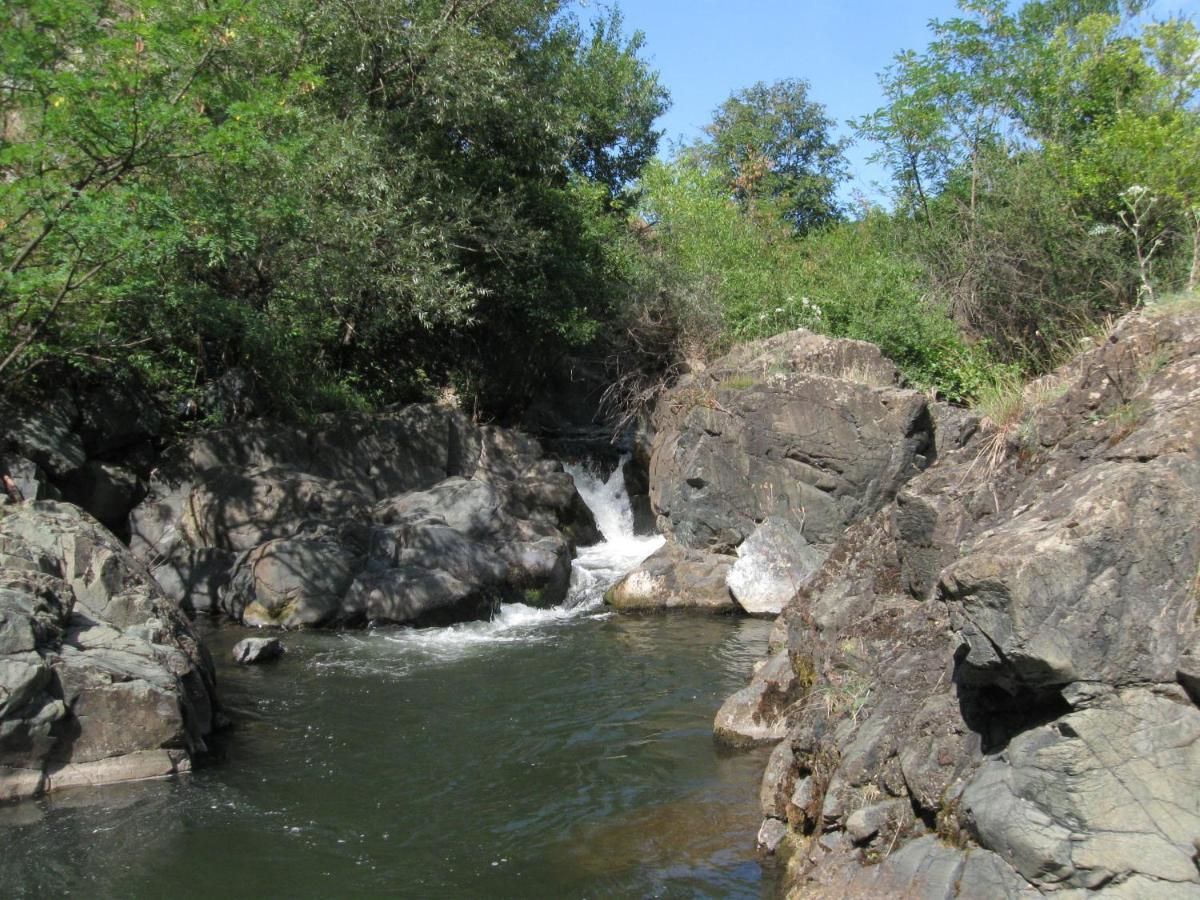 Ethno Village Bogut Bogutovac Extérieur photo